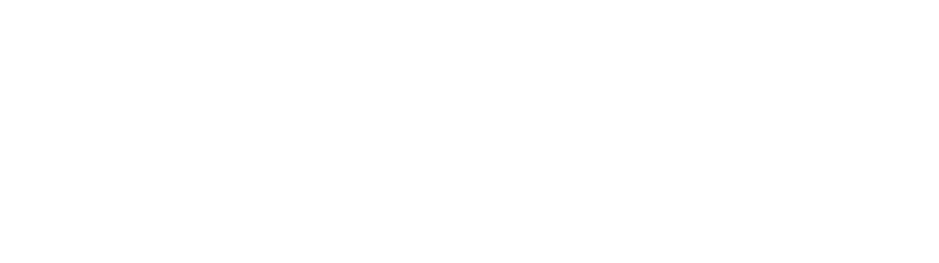 Zic Radio Logo